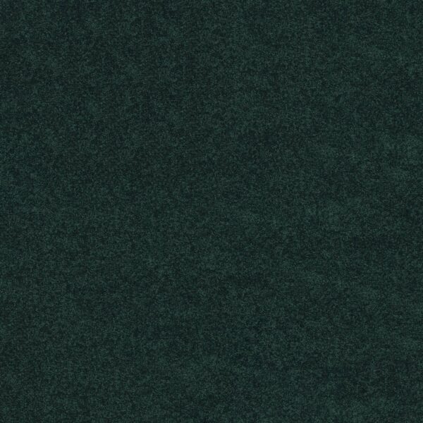 Shaw Floors Carpet Newbern Classic 15' Polo 55301_E0950
