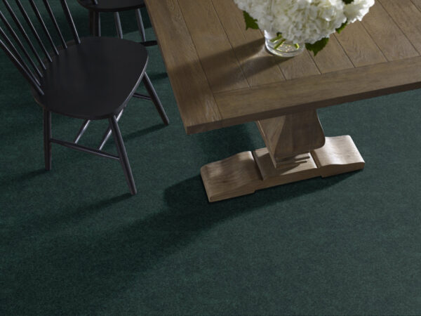 Shaw Floors Carpet Newbern Classic 15' Polo 55301_E0950 - Image 2
