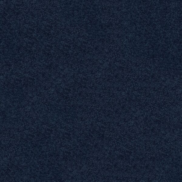 Shaw Floors Carpet Newbern Classic 15' Darkest Denim 55402_E0950