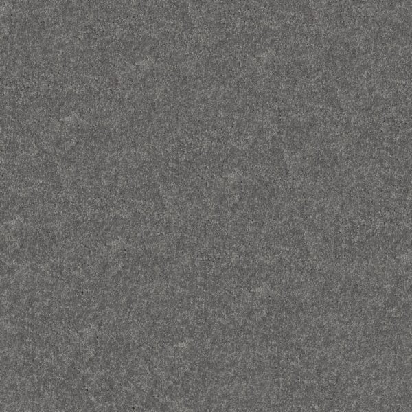 Shaw Floors Carpet Newbern Classic 15' Castle Grey 55501_E0950