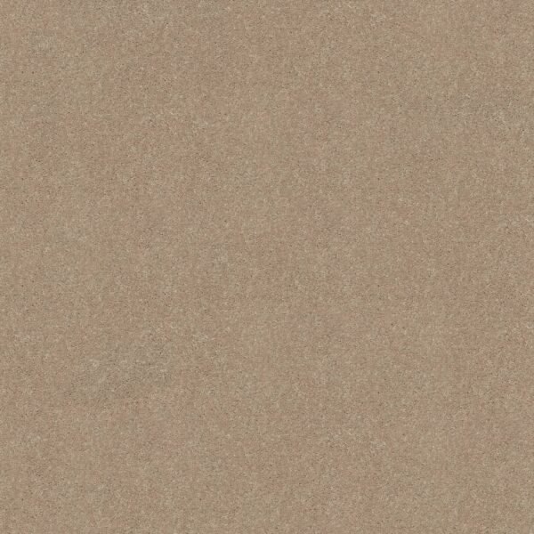 Shaw Floors Carpet Newbern Classic 15' Dove 55700_E0950