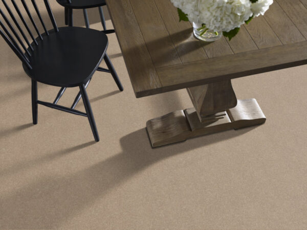 Shaw Floors Carpet Newbern Classic 15' Dove 55700_E0950 - Image 2