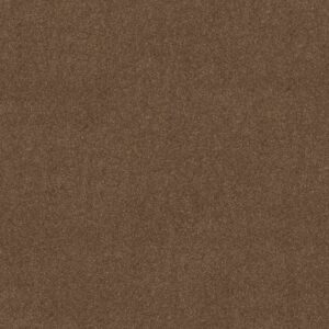 Shaw Floors Carpet Newbern Classic 15' Driftwood 55720_E0950