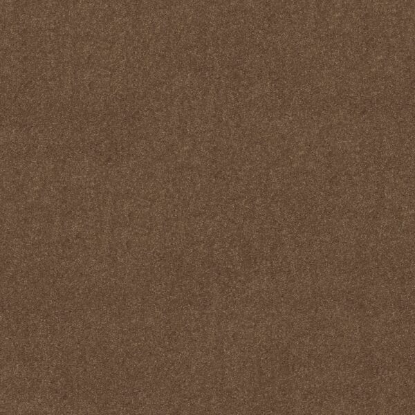 Shaw Floors Carpet Newbern Classic 15' Driftwood 55720_E0950