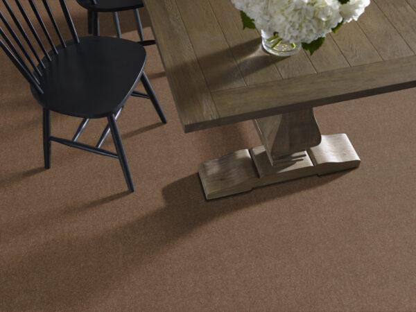 Shaw Floors Carpet Newbern Classic 15' Driftwood 55720_E0950 - Image 2