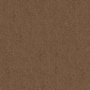 Shaw Floors Carpet Newbern Classic 15' Candied Truffle 55750_E0950