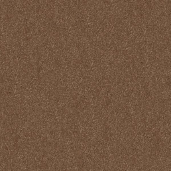 Shaw Floors Carpet Newbern Classic 15' Candied Truffle 55750_E0950