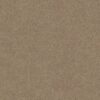 Shaw Floors Carpet Newbern Classic 15' Plaster 55752_E0950