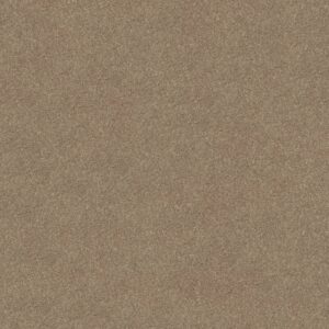 Shaw Floors Carpet Newbern Classic 15' Plaster 55752_E0950