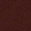 Shaw Floors Carpet Newbern Classic 15' Coffee 55755_E0950