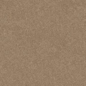 Shaw Floors Carpet Newbern Classic 15' Dusty Trail 55793_E0950