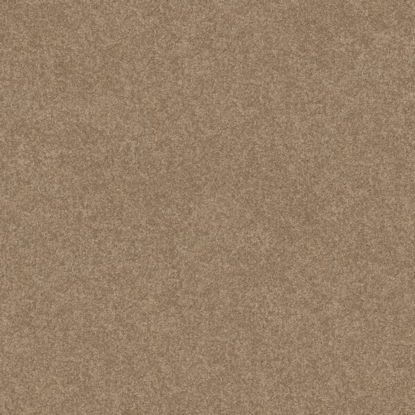 Shaw Floors Carpet Newbern Classic 15' Dusty Trail 55793_E0950