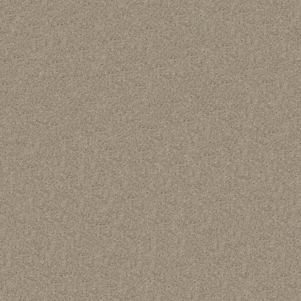 Shaw Floors Carpet Cabana Bay Solid Shifting Sand 00105_E9954