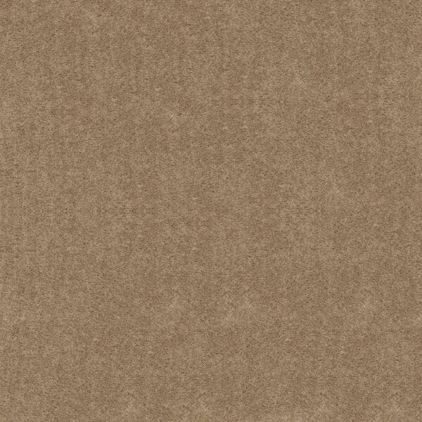 Shaw Floors Carpet Cabana Bay Solid Camel 00107_E9954