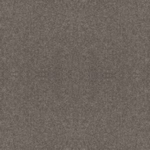 Shaw Floors Carpet Cabana Bay Solid Steel 00501_E9954