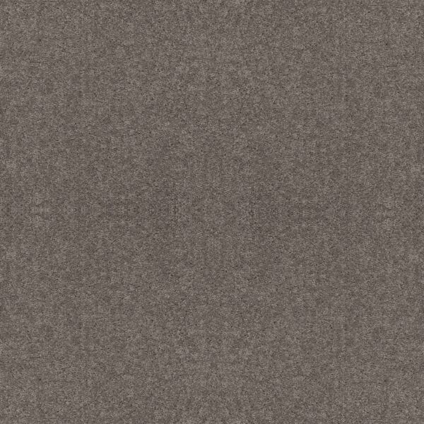 Shaw Floors Carpet Cabana Bay Solid Steel 00501_E9954