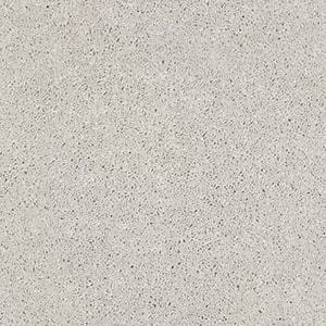 Shaw Floors Carpet Cabana Bay Solid Ice 00520_E9954