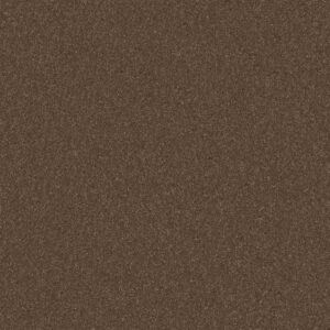 Shaw Floors Carpet Cabana Bay Solid Cattail 00702_E9954