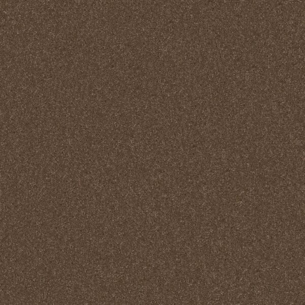 Shaw Floors Carpet Cabana Bay Solid Cattail 00702_E9954