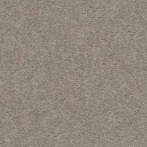 Shaw Floors Carpet Cabana Bay Solid Perfect Taupe 00715_E9954