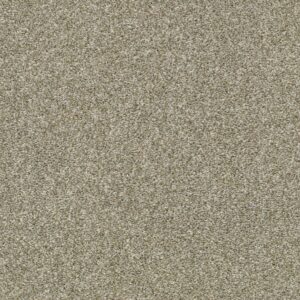 Shaw Floors Carpet Cabana Bay Tonal Pebble Creek 00135_E9955
