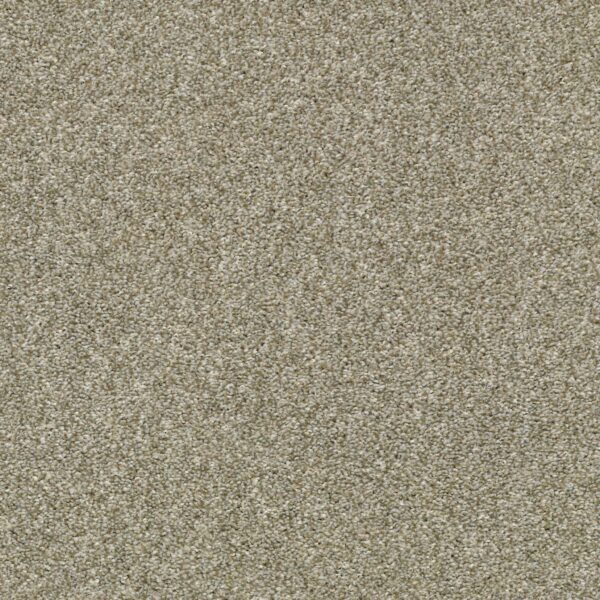 Shaw Floors Carpet Cabana Bay Tonal Pebble Creek 00135_E9955