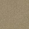 Shaw Floors Carpet Cabana Bay Tonal Dried Clay 00137_E9955