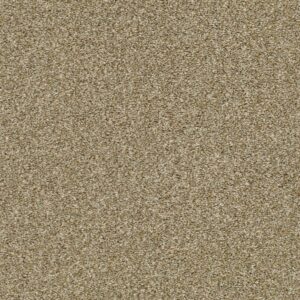 Shaw Floors Carpet Cabana Bay Tonal Dried Clay 00137_E9955