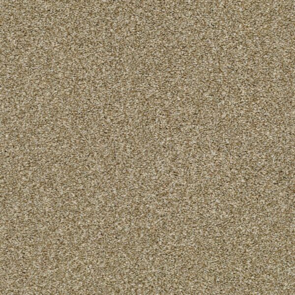 Shaw Floors Carpet Cabana Bay Tonal Dried Clay 00137_E9955