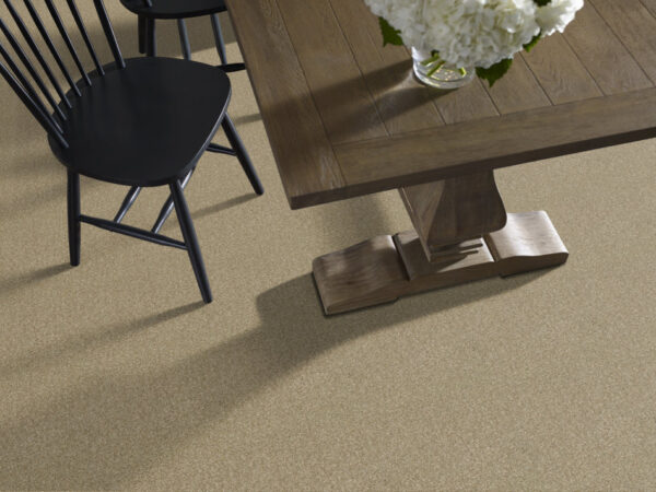 Shaw Floors Carpet Cabana Bay Tonal Dried Clay 00137_E9955 - Image 2