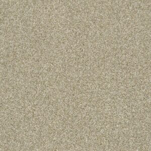 Shaw Floors Carpet Cabana Bay Tonal Wheat Field 00142_E9955