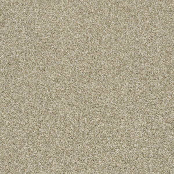 Shaw Floors Carpet Cabana Bay Tonal Wheat Field 00142_E9955