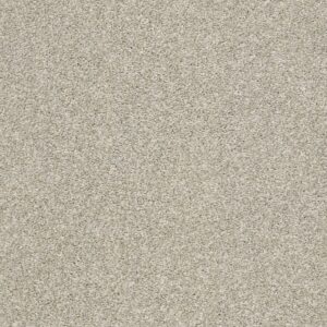 Shaw Floors Carpet Cabana Bay Tonal Ecru 00530_E9955