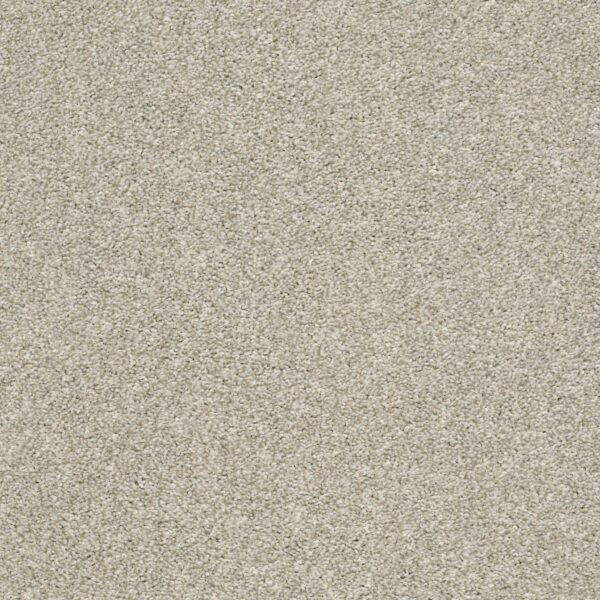 Shaw Floors Carpet Cabana Bay Tonal Ecru 00530_E9955