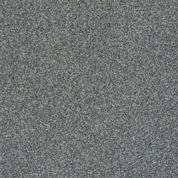 Shaw Floors Carpet Cabana Bay Tonal Mountain Path 00531_E9955