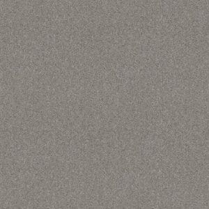 Shaw Floors Carpet Cabana Bay Tonal Fog 00540_E9955