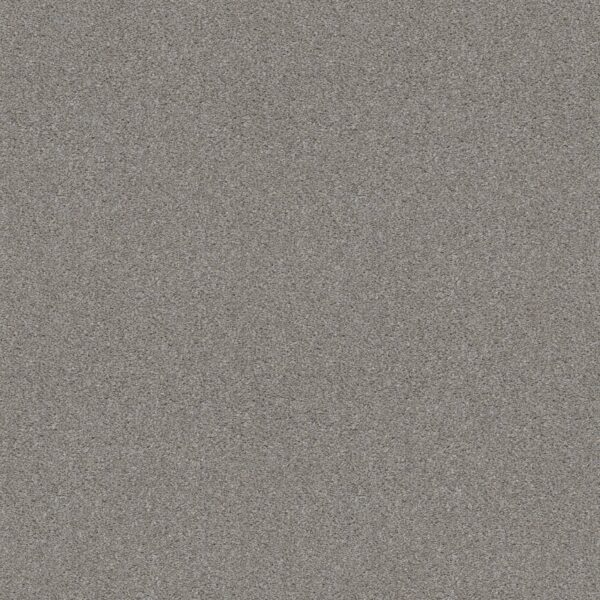 Shaw Floors Carpet Cabana Bay Tonal Fog 00540_E9955
