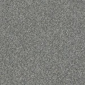 Shaw Floors Carpet Cabana Bay Tonal Shadow 00541_E9955