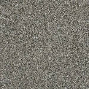 Shaw Floors Carpet Cabana Bay Tonal Walking Trail 00745_E9955