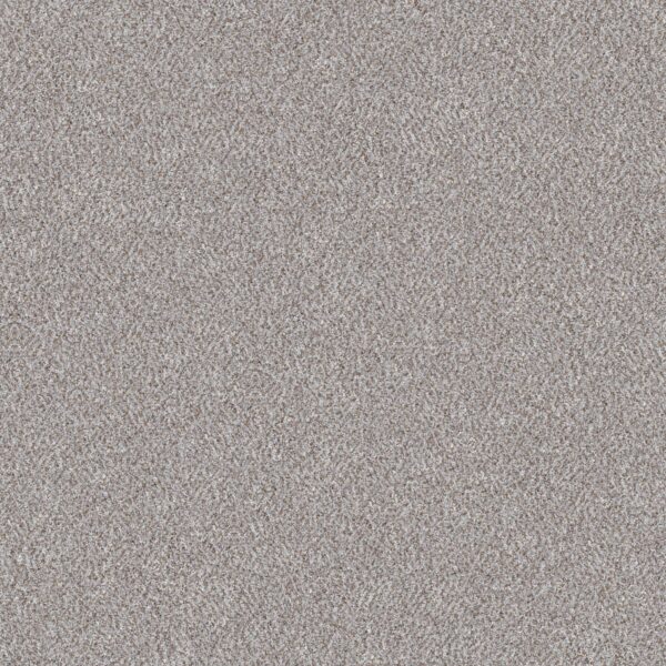 Shaw Floors Carpet Cabana Bay (B) Winter 00150_E9956