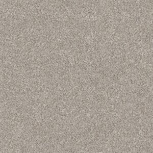 Shaw Floors Carpet Cabana Bay (B) Seashell 00151_E9956