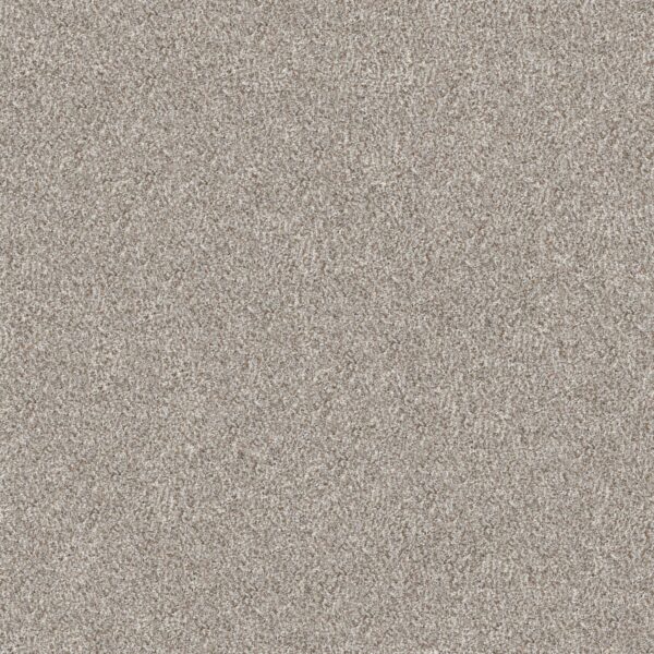 Shaw Floors Carpet Cabana Bay (B) Seashell 00151_E9956