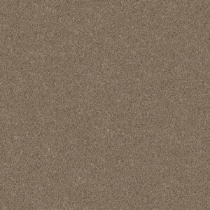Shaw Floors Carpet Cabana Bay (B) Mesa 00152_E9956
