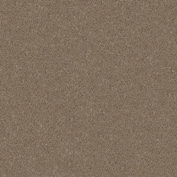 Shaw Floors Carpet Cabana Bay (B) Mesa 00152_E9956