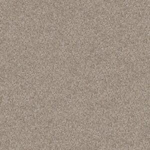 Shaw Floors Carpet Cabana Bay (B) Beach House 00250_E9956