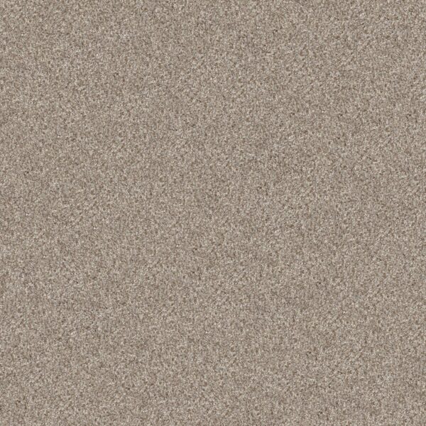 Shaw Floors Carpet Cabana Bay (B) Beach House 00250_E9956