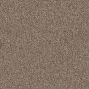Shaw Floors Carpet Cabana Bay (B) Summer Wind 00251_E9956