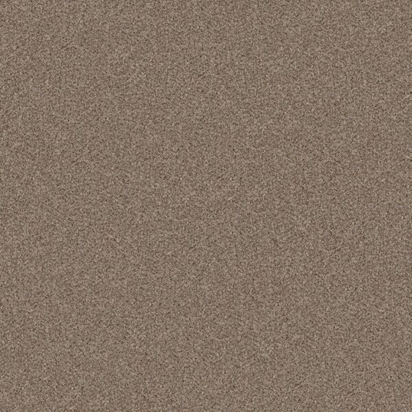 Shaw Floors Carpet Cabana Bay (B) Summer Wind 00251_E9956