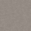 Shaw Floors Carpet Cabana Bay (B) Stone 00550_E9956