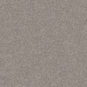 Shaw Floors Carpet Cabana Bay (B) Stone 00550_E9956